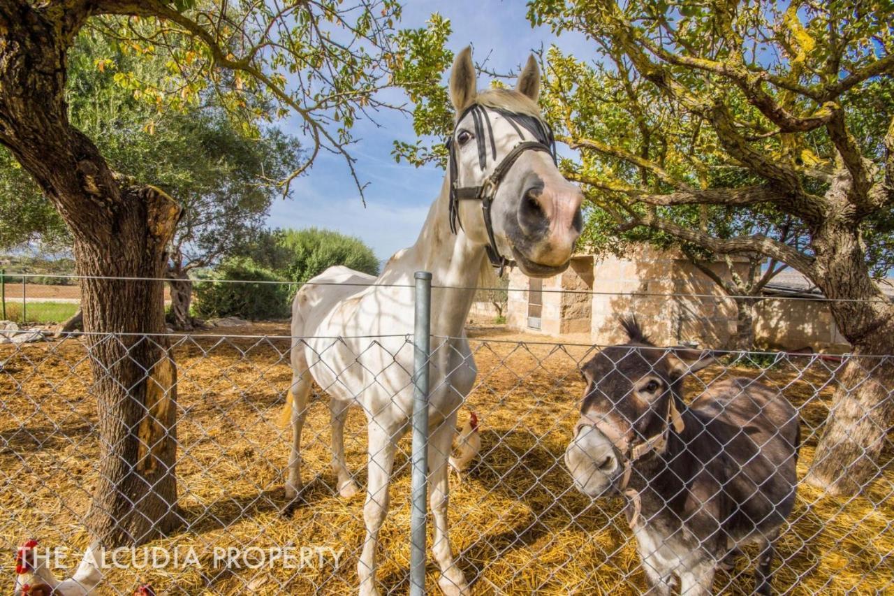Finca Pegasus Alcudia  Luaran gambar